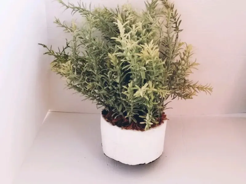 Planta Artificial De Lavanda Francesa