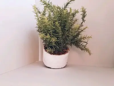 Planta Artificial De Lavanda Francesa - miniatura 2