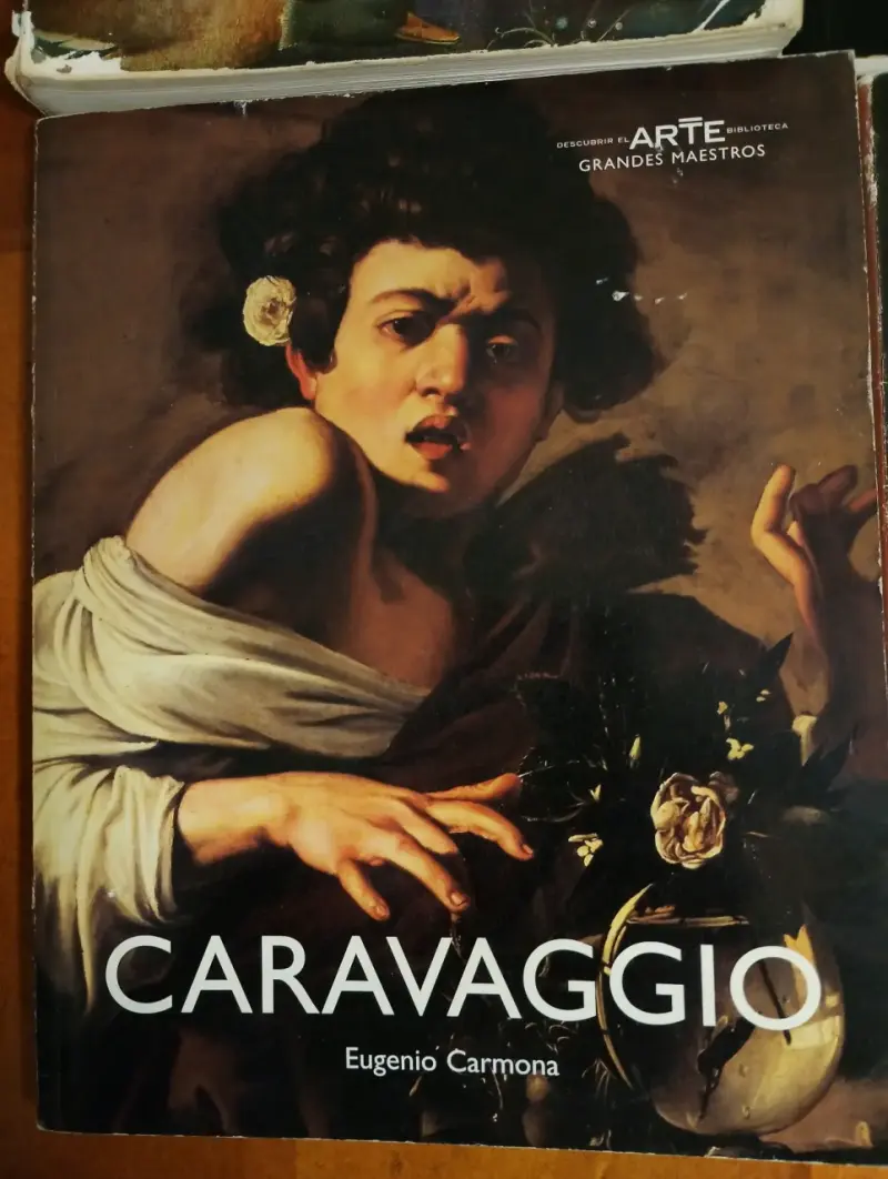 Colección de Libros de Arte: Caravaggio, Rembrandt y Más - 2