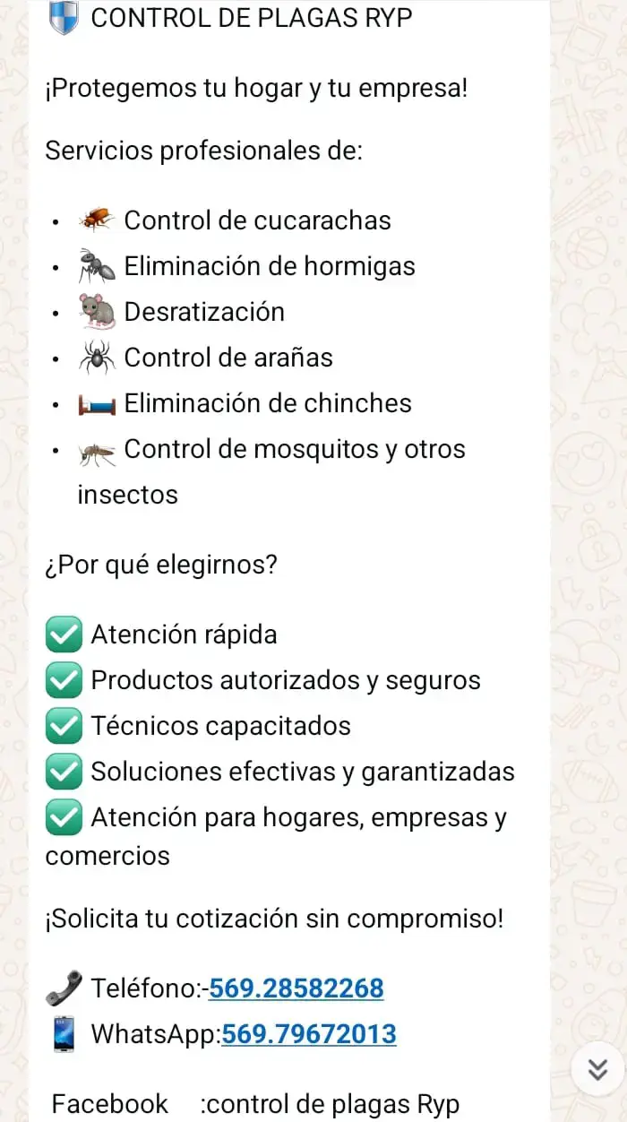 Servicio de Control de Plagas RYP para Hogares y Empresas - 2
