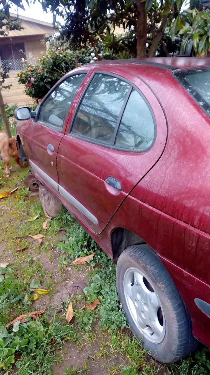 Capó y espejos laterales Renault usados - 4