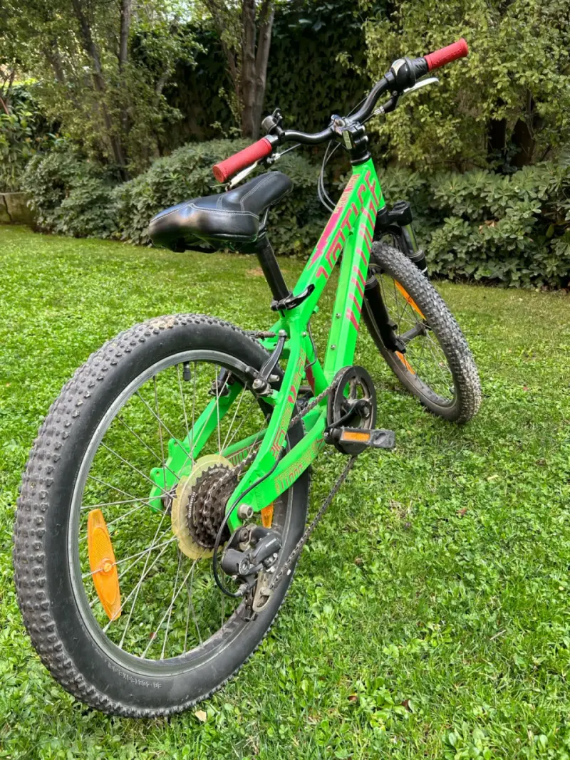 Bicicleta Verde Infantil Rodado 20 - 2