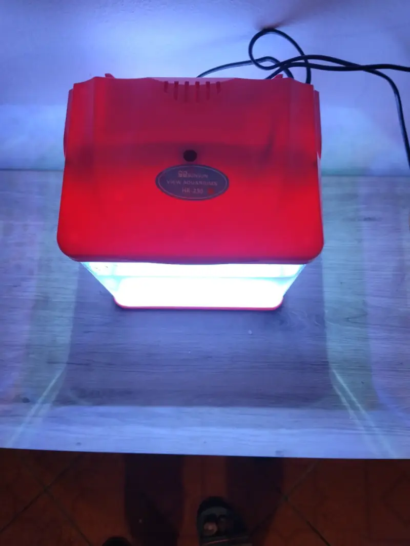 Acuario pequeño con iluminación LED y bomba - 3
