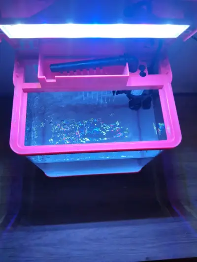 Acuario pequeño con iluminación LED y bomba - miniatura 4