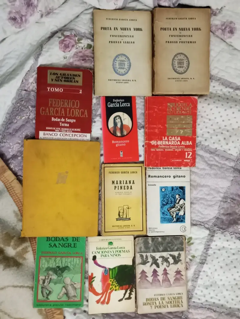 Colección de libros de Federico García Lorca