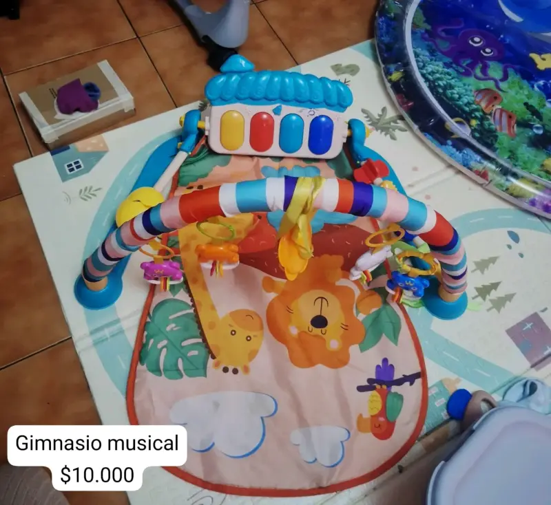 Gimnasio musical