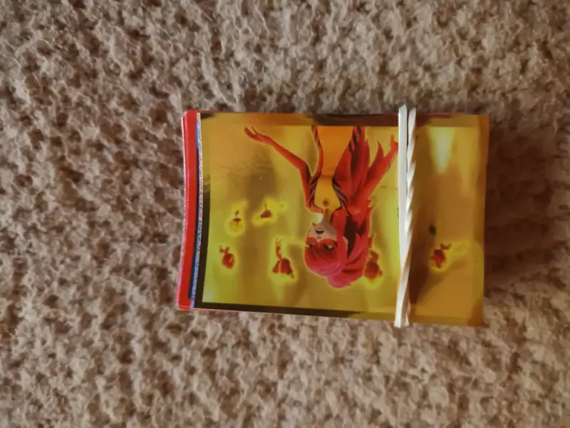 Álbum de Stickers Miraculous Héroes del Mundo - 2