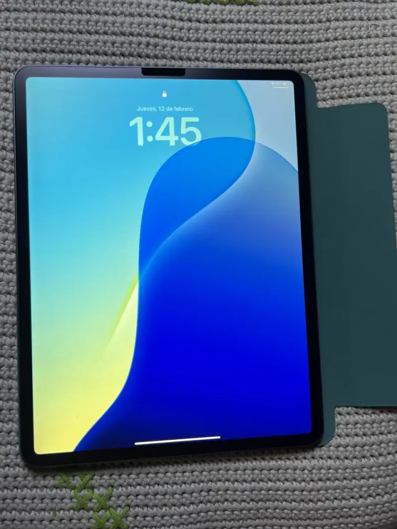Ipad Pro 12.9 4ta Generación 256Gb - 6