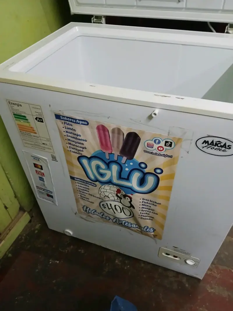 Congelador Marca Home A+ para Helados - 6