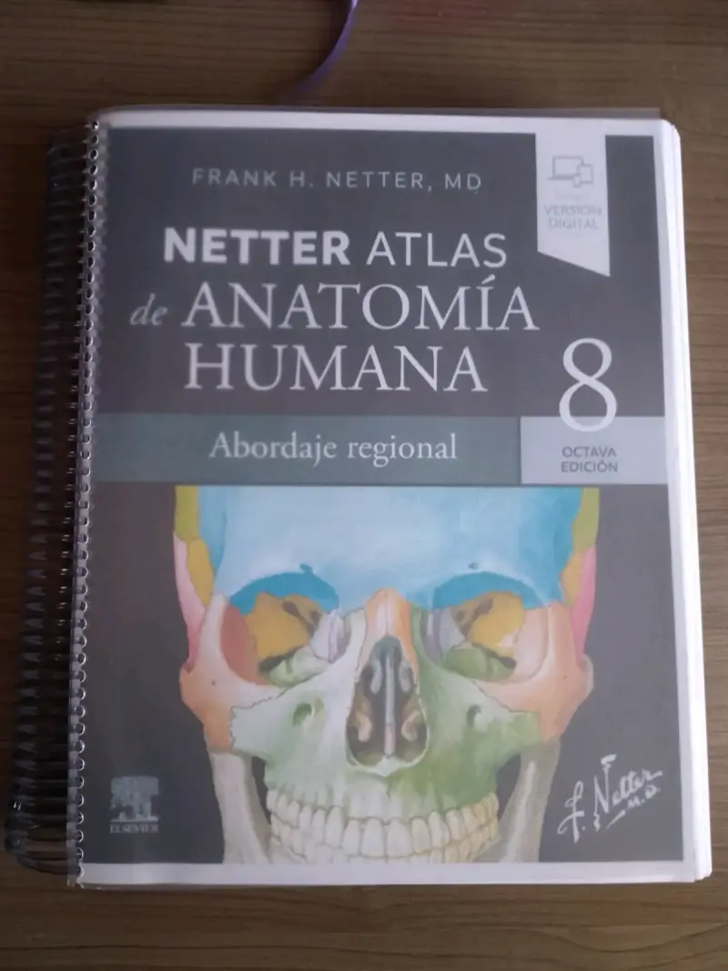Netter Atlas de Anatomía Humana 8ª Edición - 1