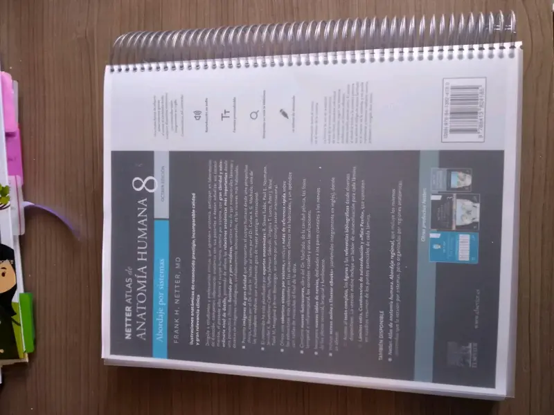 Atlas de Anatomía Humana Netter 8va Edición - 6