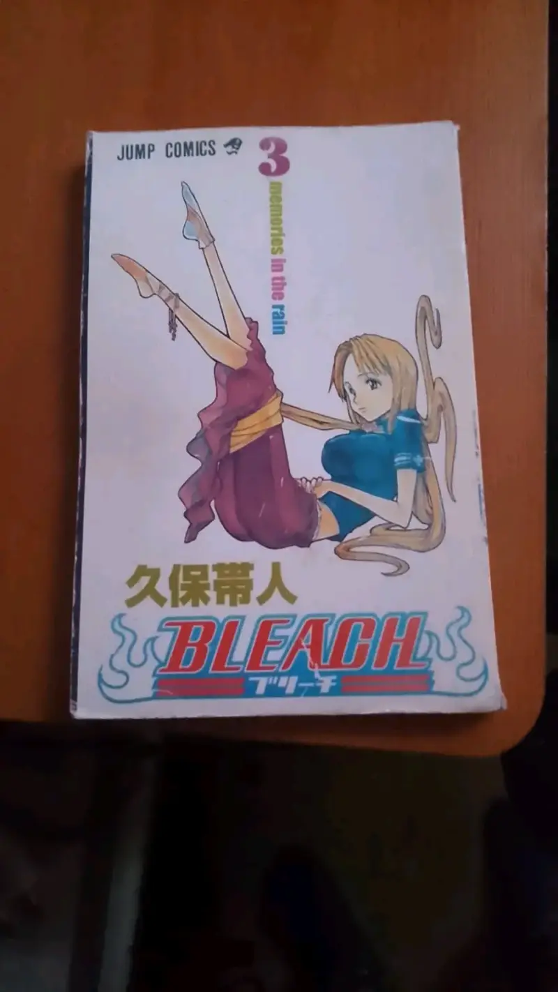Manga Bleach Volumen 3 - Memories in the Rain