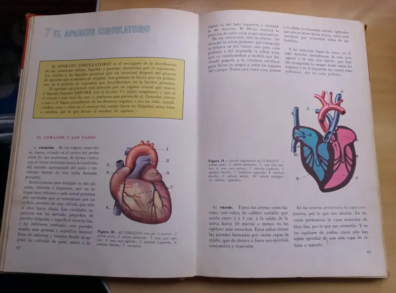 Libro Anatomía y Fisiología Humanas Editorial Everest - 3