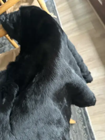 Abrigo de piel natural conejo negro nuevo sin uso - miniatura 3
