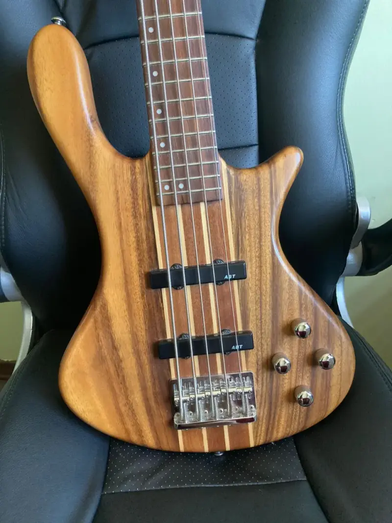 Bajo Washburn Taurus T25 - 2