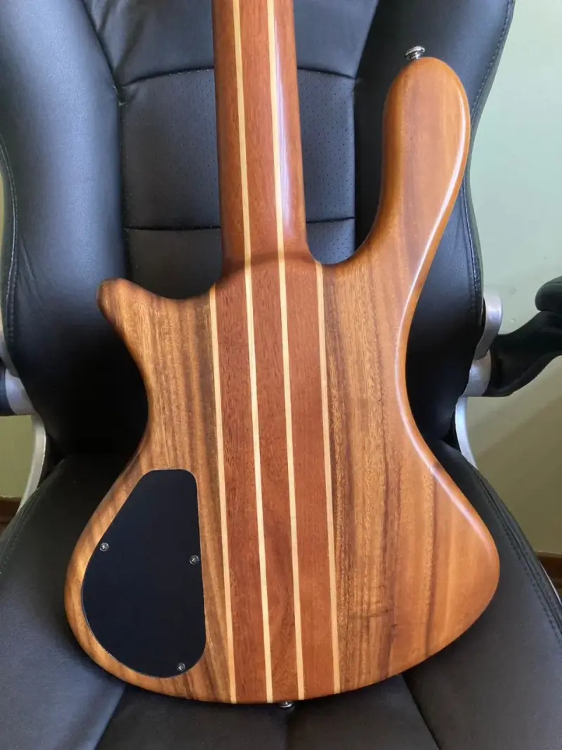Bajo Washburn Taurus T25 - 3