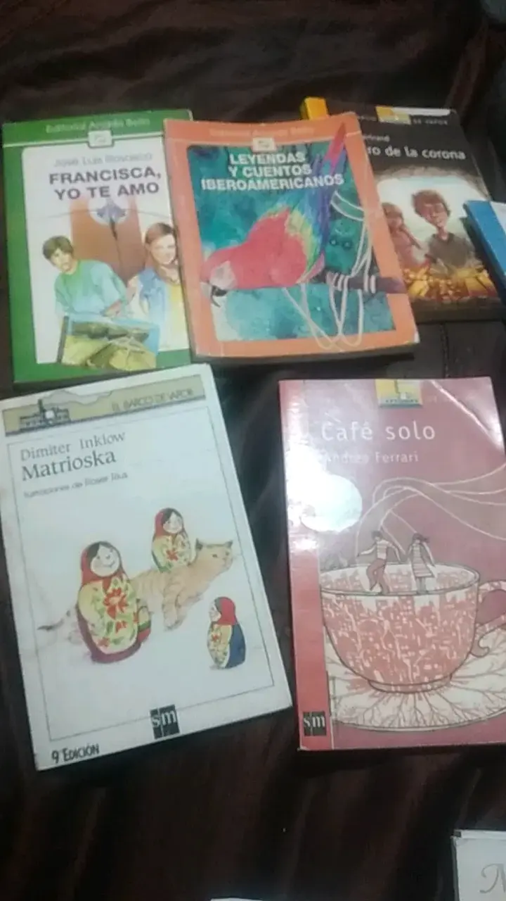 Lote de libros infantiles y juveniles variados