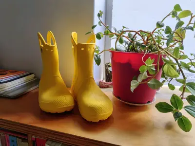 Botas de lluvia amarillas Crocs para niños - miniatura 2