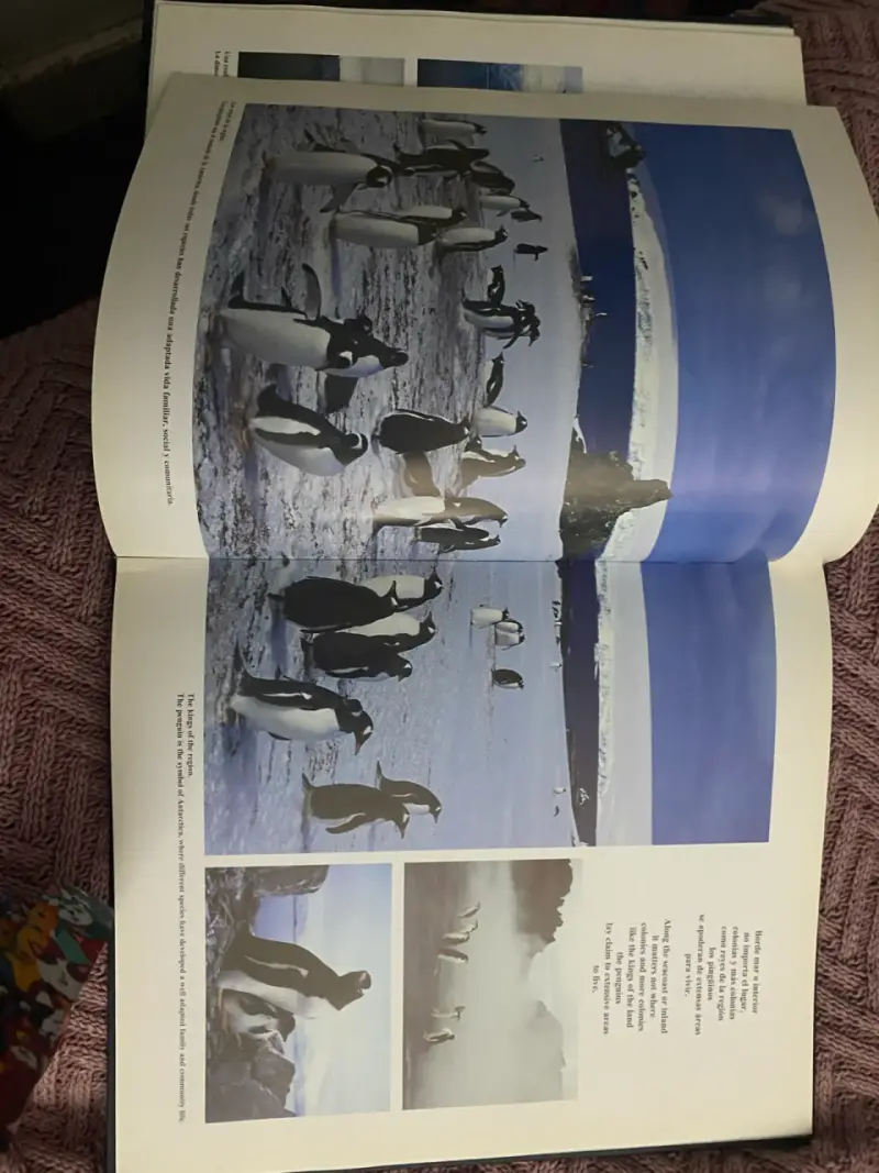 Libro 'Antártica: El Último Continente' de Guillermo Muñoz Morales - 4