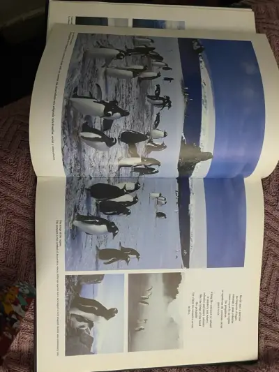 Libro 'Antártica: El Último Continente' de Guillermo Muñoz Morales - miniatura 4