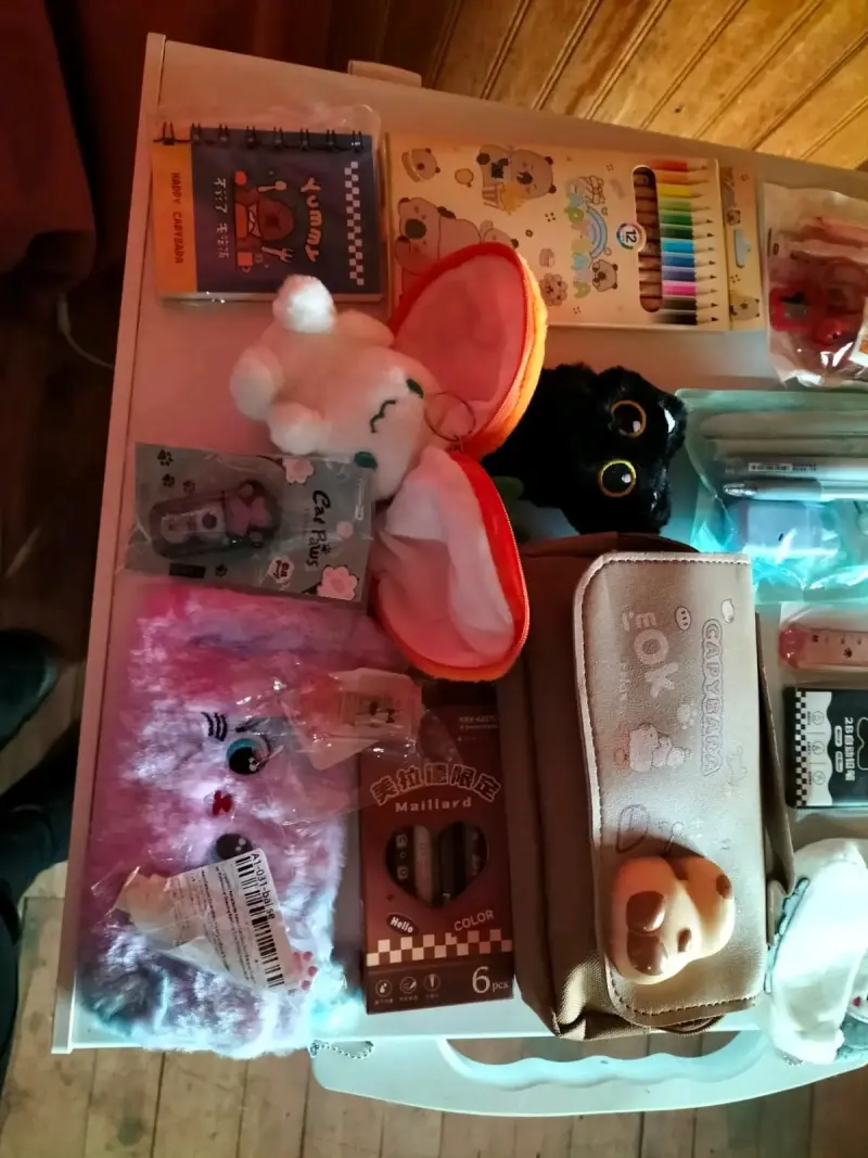 Set de papelería kawaii con estuches y lápices - 1
