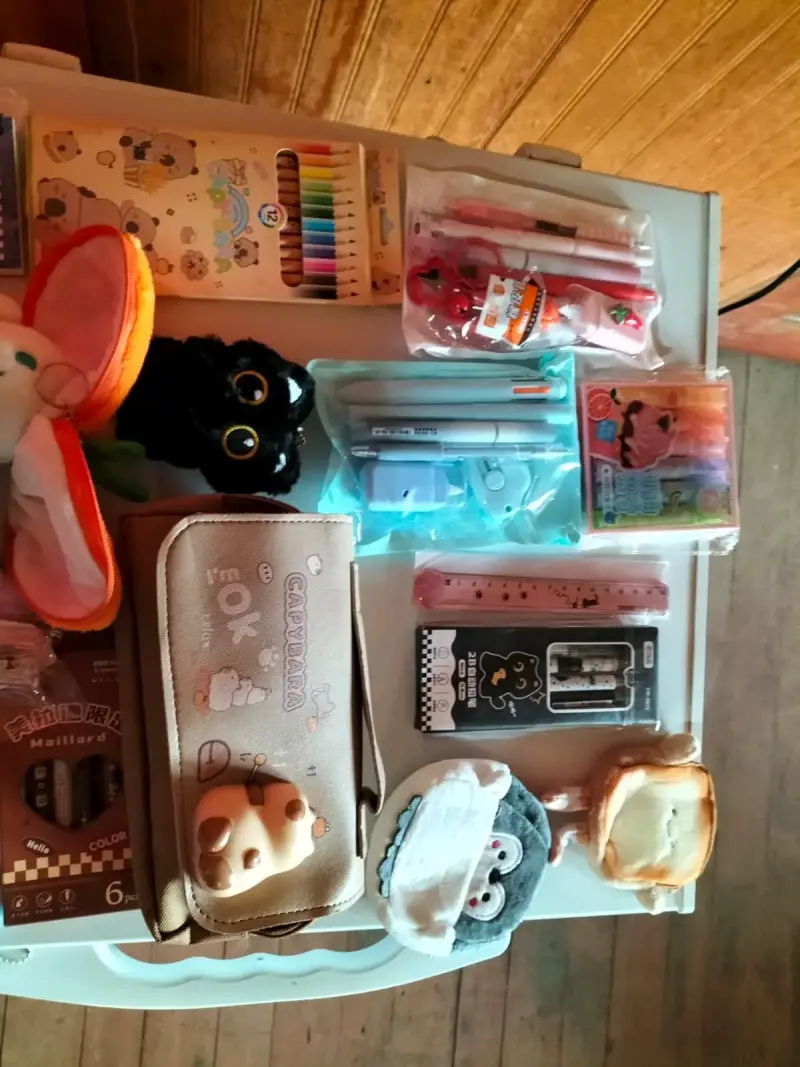 Set de papelería kawaii con estuches y lápices - 2