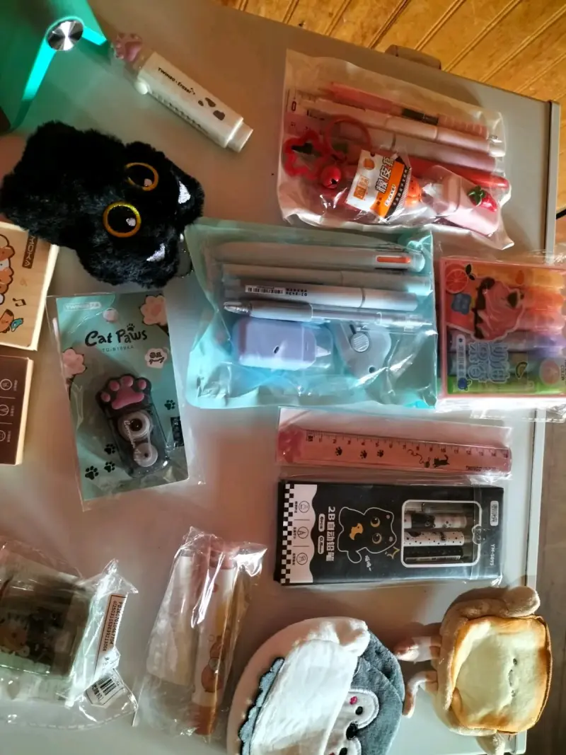 Set de papelería kawaii con estuches y lápices - 4