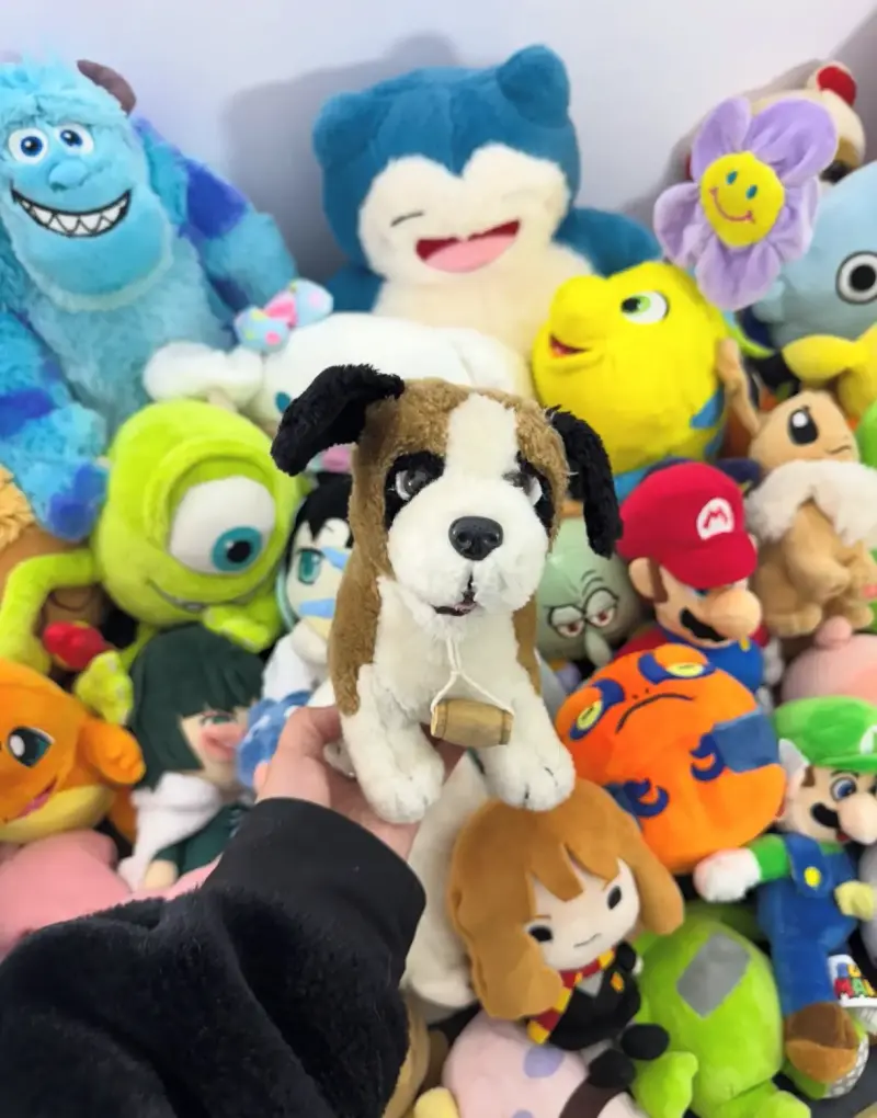 Peluche de perro San Bernardo pequeño