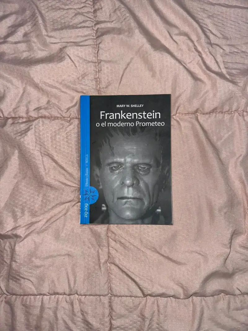 Lote de libros clásicos y contemporáneos - 1