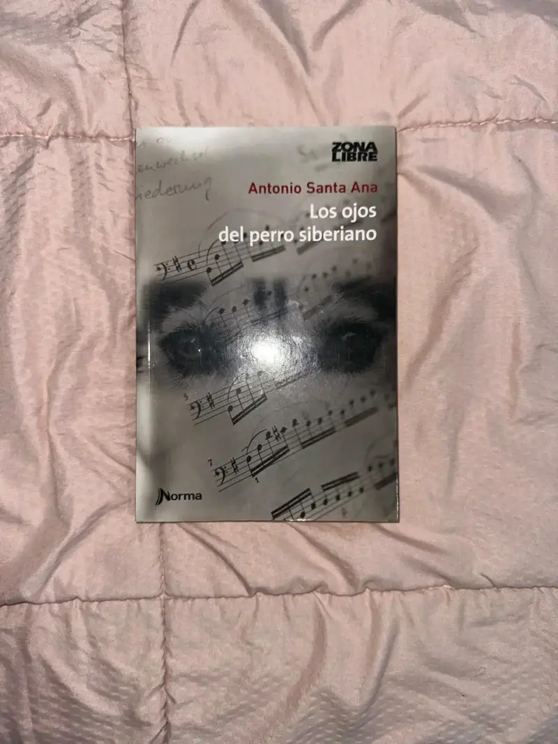 Lote de libros clásicos y contemporáneos - 2