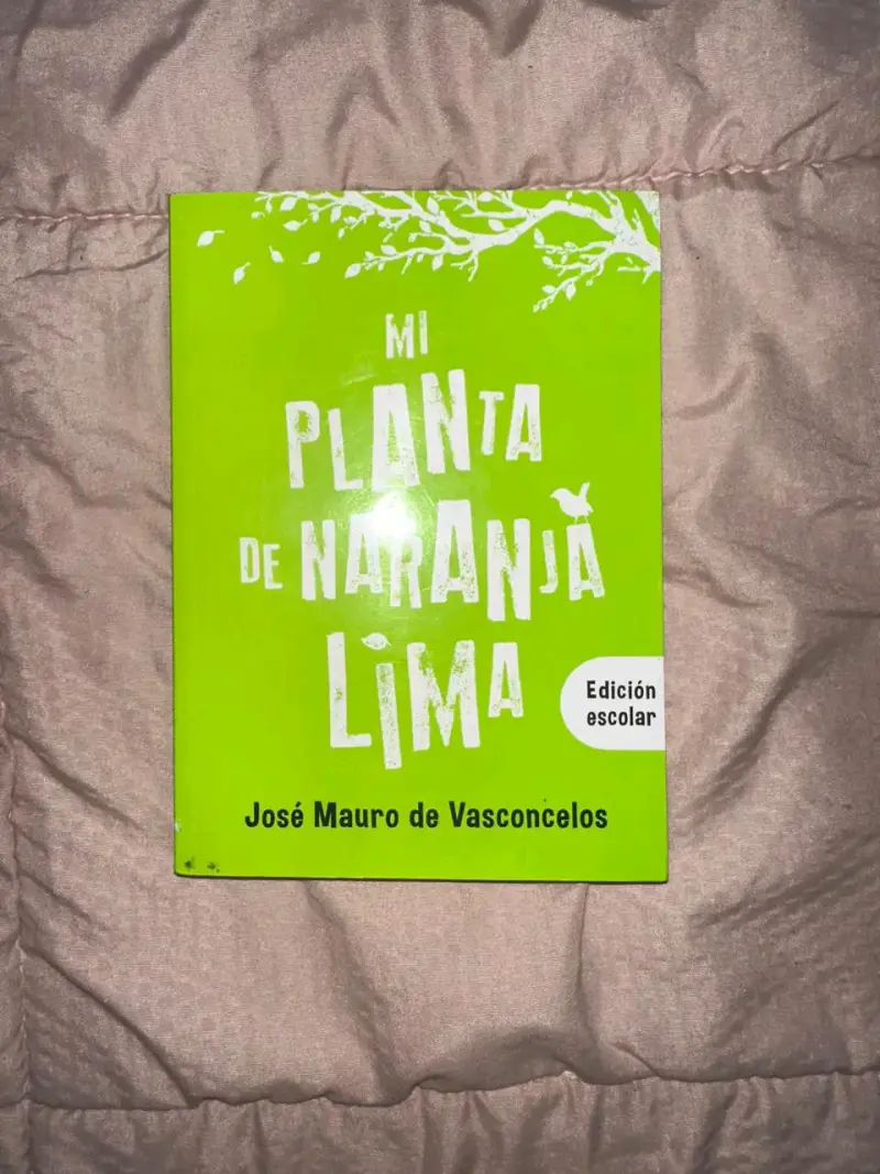 Lote de libros clásicos y contemporáneos - 3