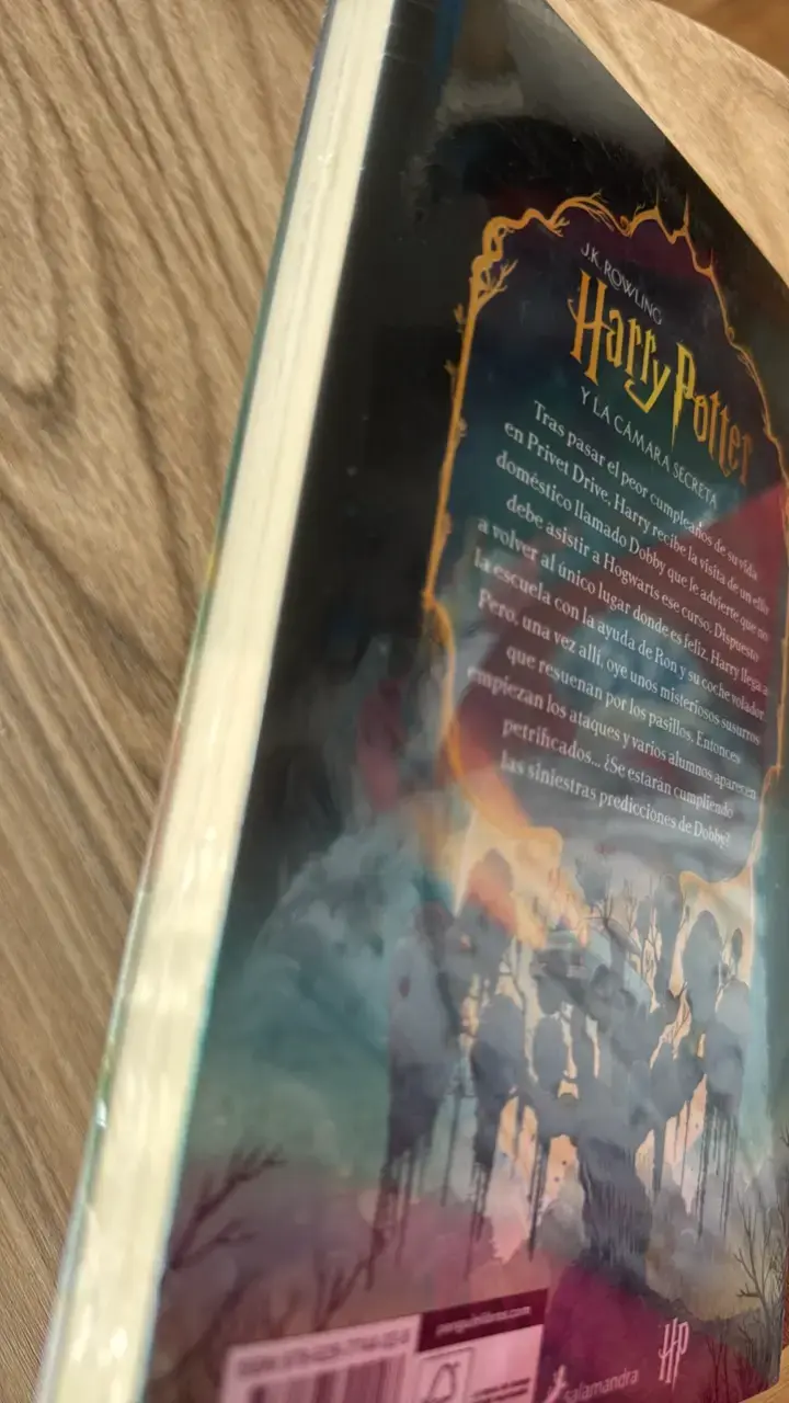 Libro Harry Potter y la Cámara Secreta (2) - 3