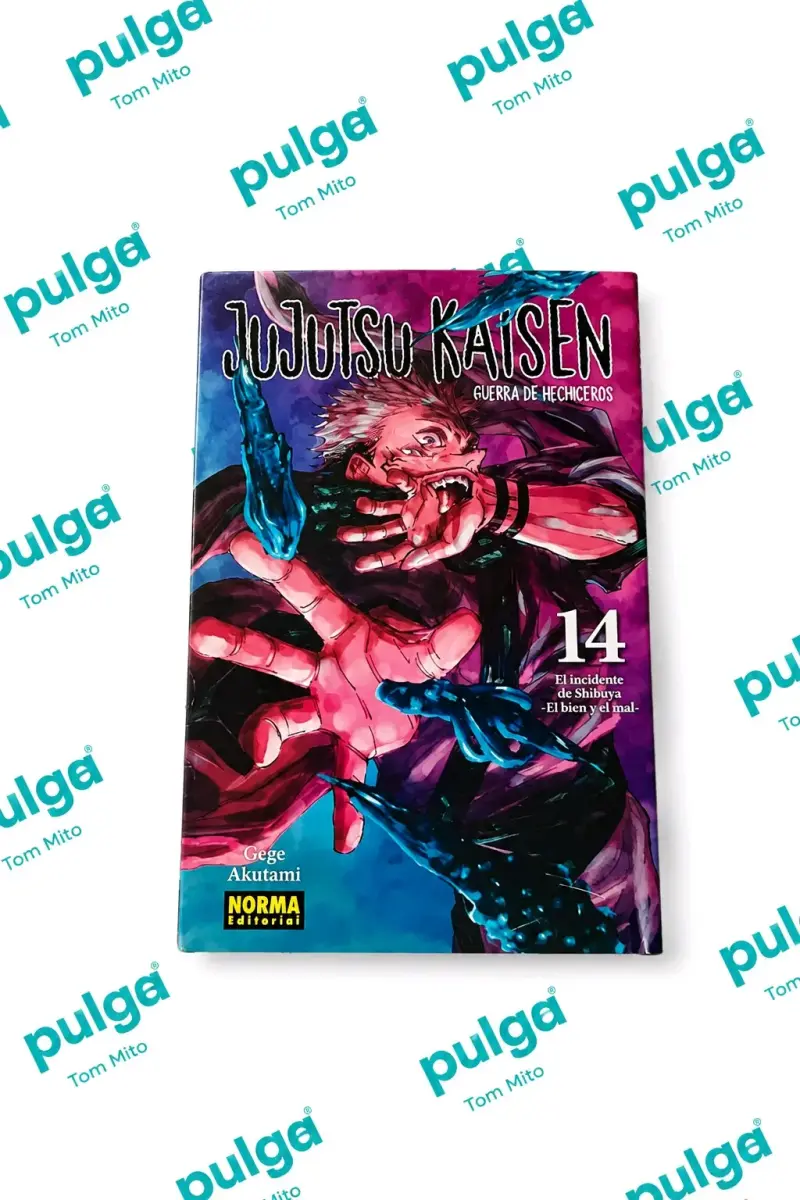 Manga Jujutsu Kaisen Volumen 14