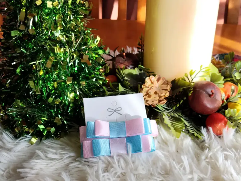 Set de pinches navideños de terciopelo y satin - 5
