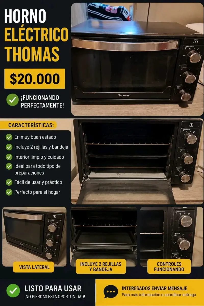 Horno eléctrico Thomas en buen estado