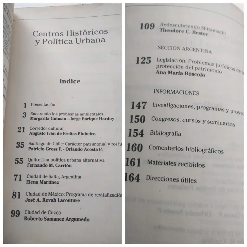 Revista Medio Ambiente y Urbanización N°38 - 2