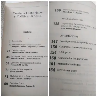 Revista Medio Ambiente y Urbanización N°38 - miniatura 2