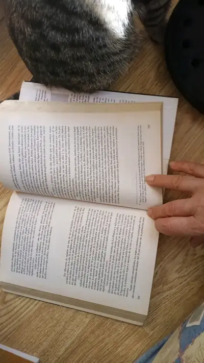 Pack de libros: La Hora Final de Castro y Los Manuscritos de Magdala - miniatura 4