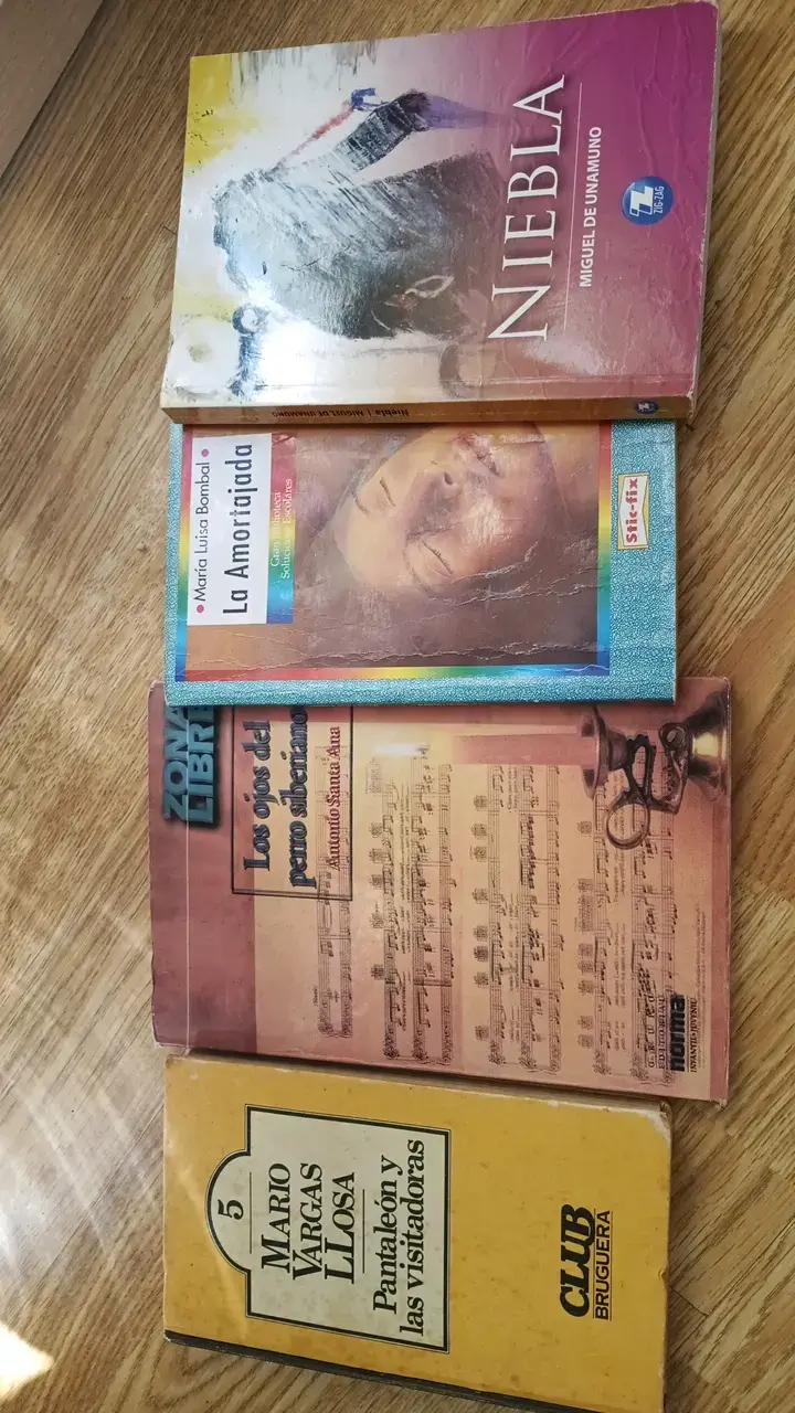Lote de Libros de Literatura Clásica en Español - 1