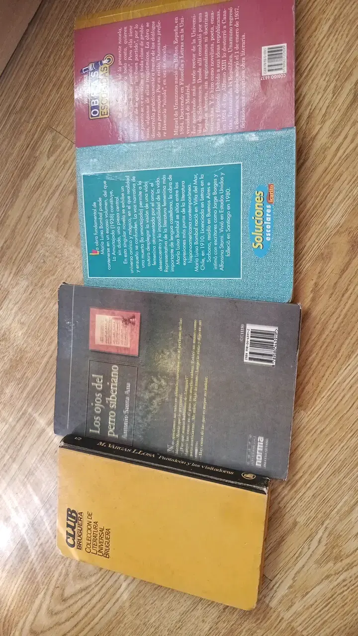 Lote de Libros de Literatura Clásica en Español - 2