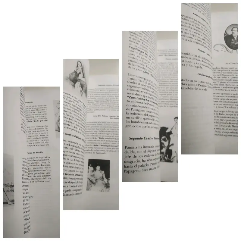 Libro 33 Óperas Básicas de Juan Alfonso Pino Pareda - 3