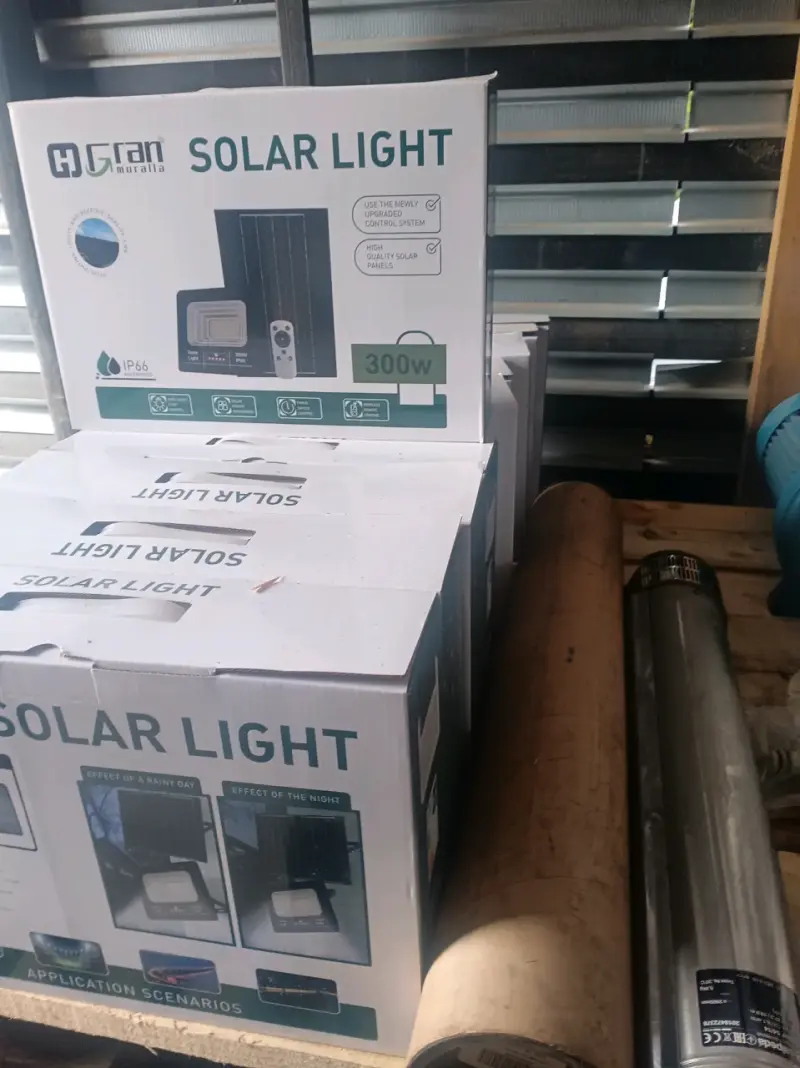 Luz Solar Gran Muralla 300W con Control Remoto - 1
