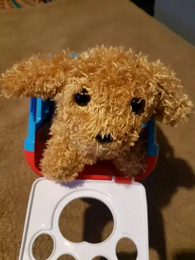 Peluche porta mascota con accesorios - miniatura 4