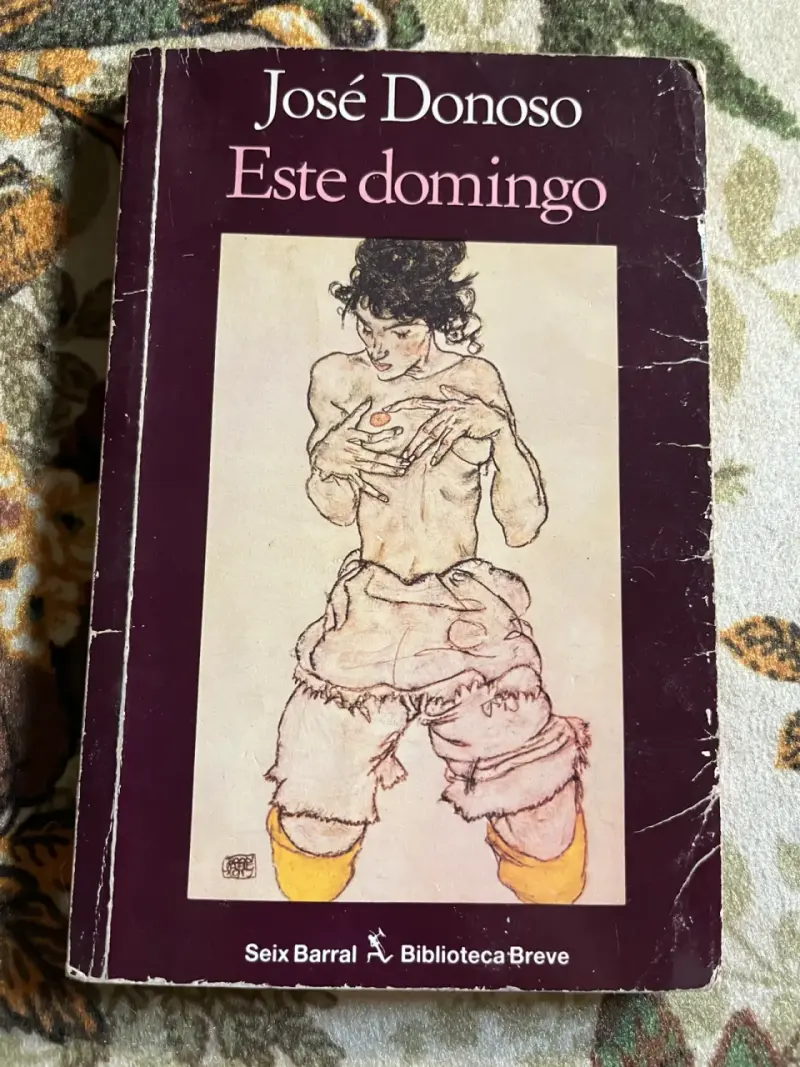 Libro 'Este Domingo' de José Donoso