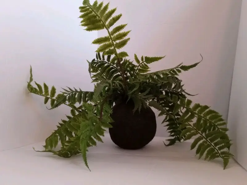 Planta Artificial Estilo Helecho Con Pelota De Mus