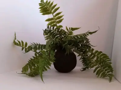 Planta Artificial Estilo Helecho Con Pelota De Mus - miniatura 1