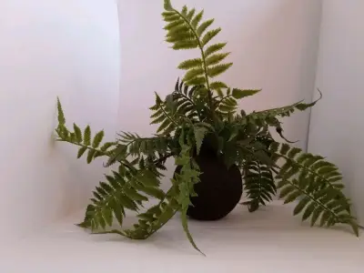 Planta Artificial Estilo Helecho Con Pelota De Mus - miniatura 2