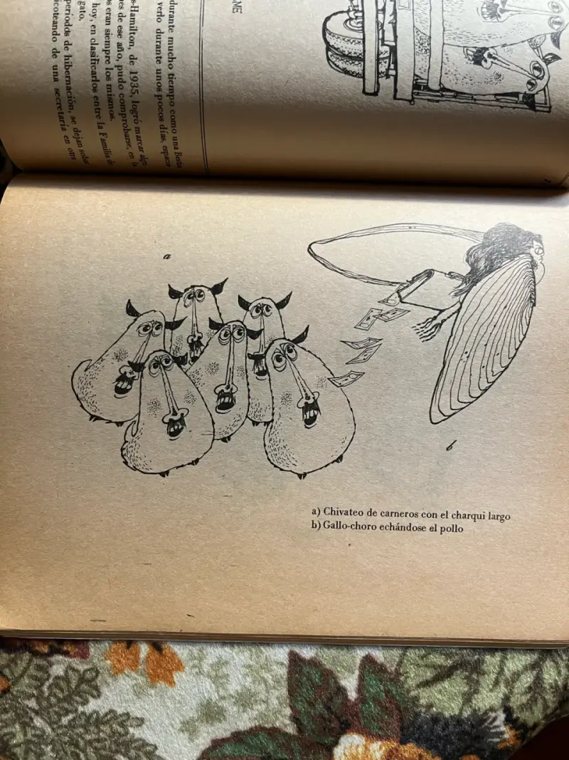 Libro Bestiario del Reyno de Chile por Lukas - 2