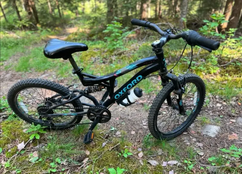Bicicleta Oxford para niños Aro 20