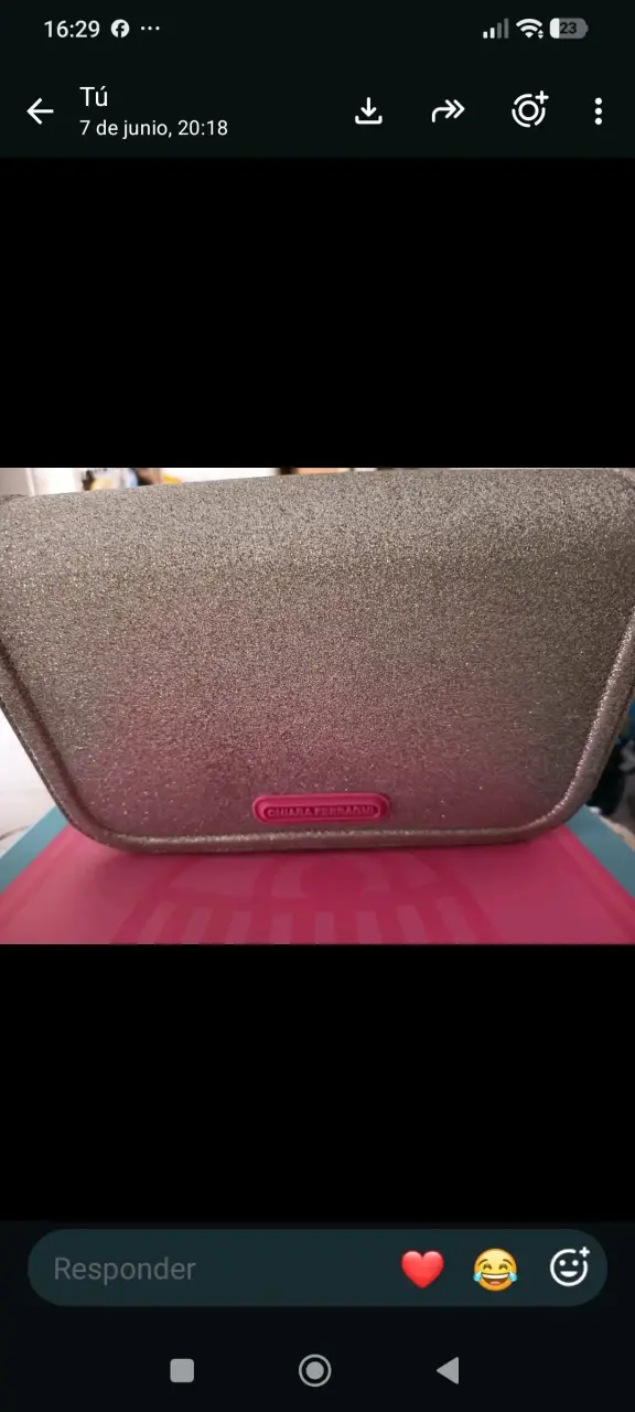 Cartera plateada Chiara Ferragni edición limitada - 2
